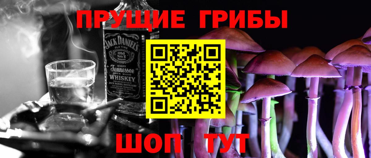 Вольск  Галлюциногенные грибы Psilocybine cubensis  Вход с VPN 